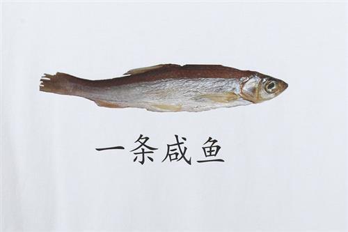 一只咸鱼吃瓜,揭秘网络热点的咸鱼视角